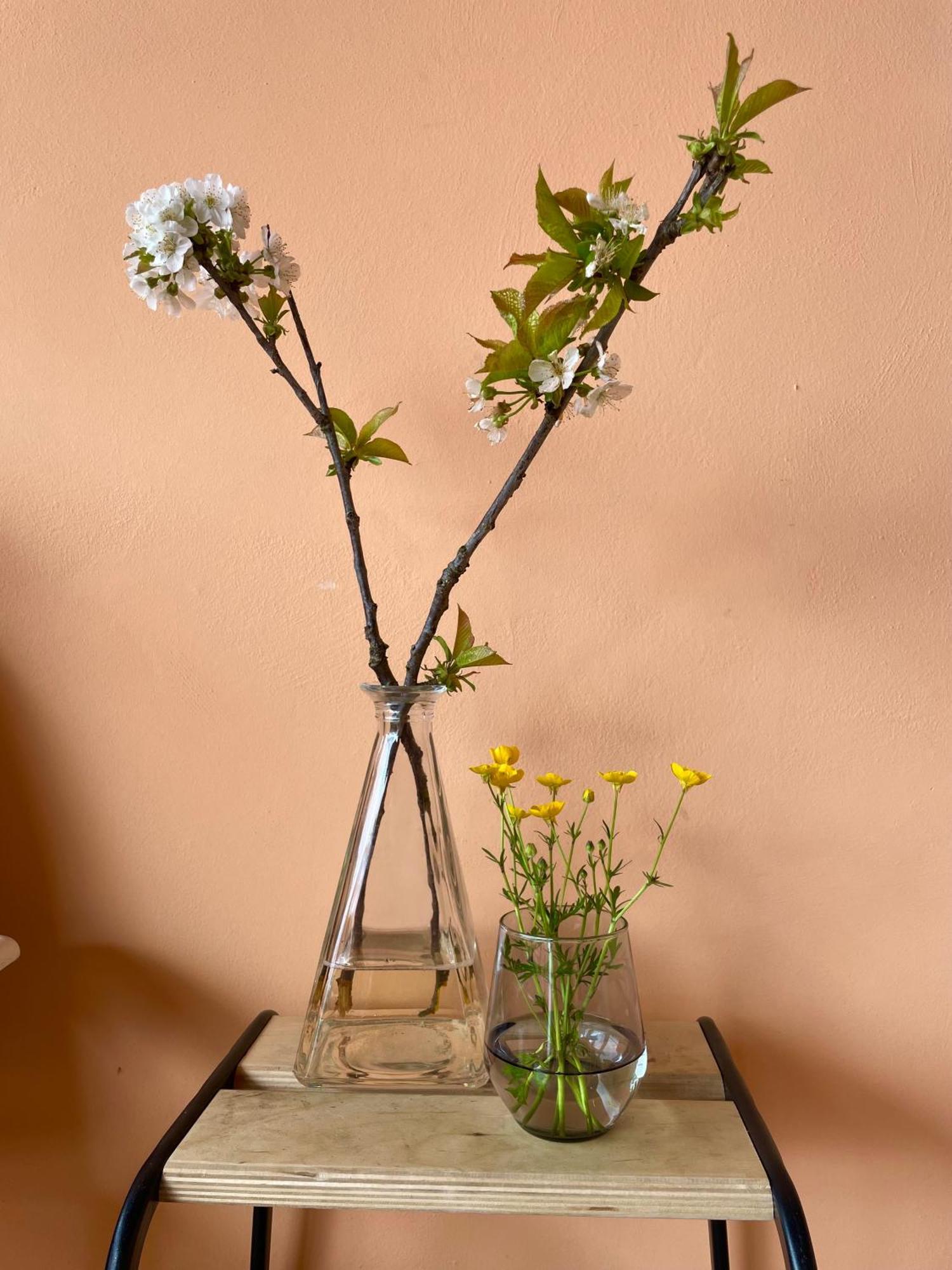 Studio Rosa Miagliano エクステリア 写真